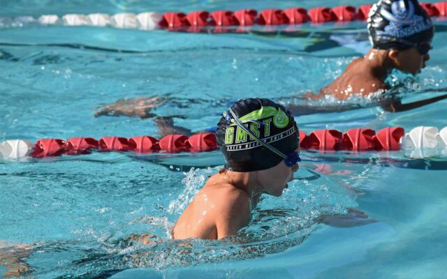 Diving into the water is as much fun as swimming